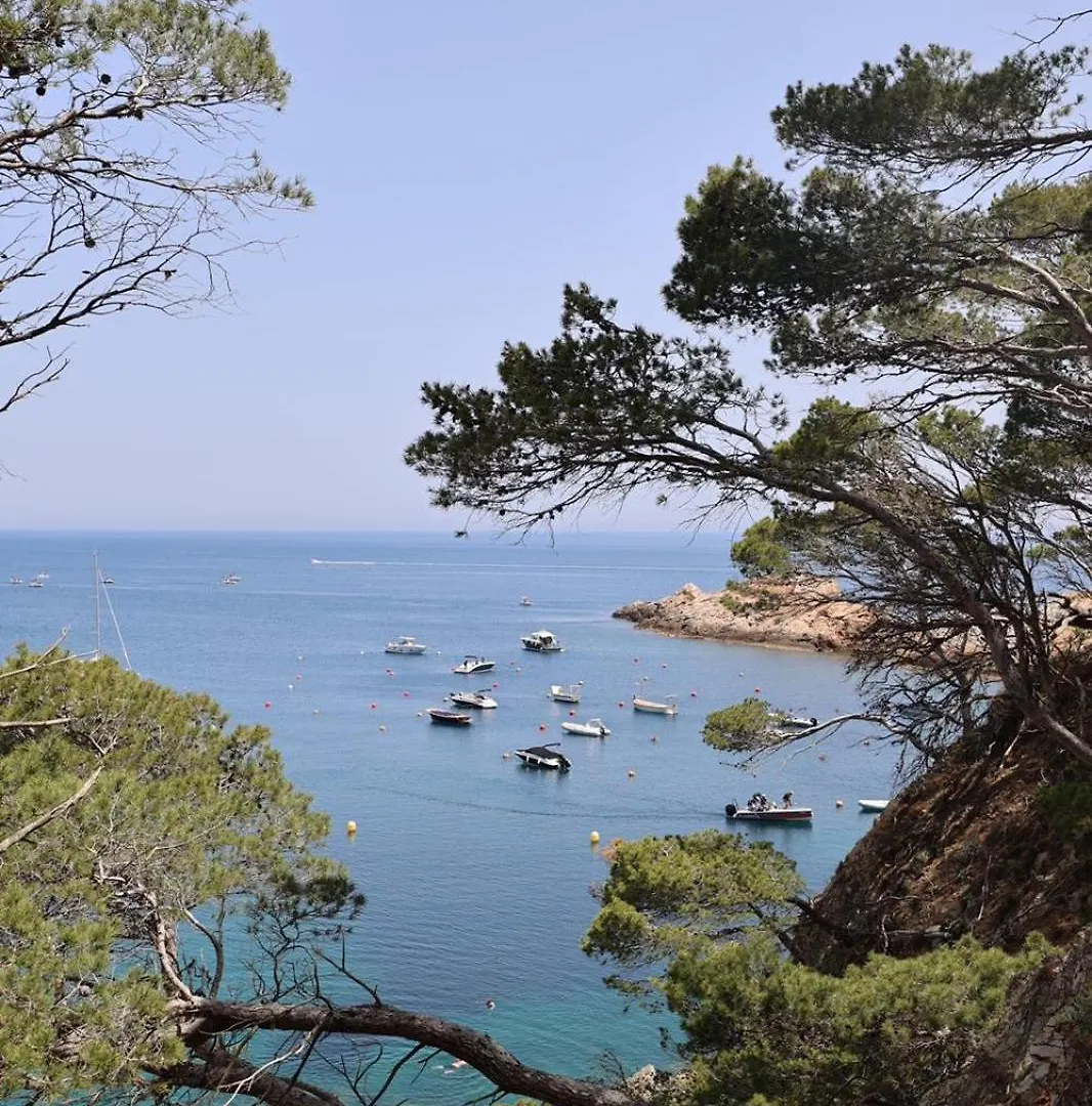 Apartament Suites Vista Mar Sa Tuna Begur Apartment